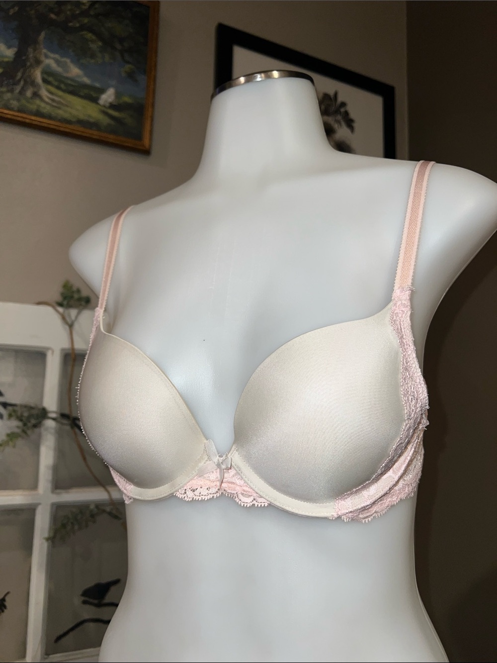 Victoria’s Secret Dream Angels Push Up Bra